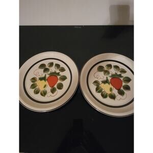 Vintage MCM 70s Strawberry Stoneware Dinner Plates Sears Japan HandPainted Set 2